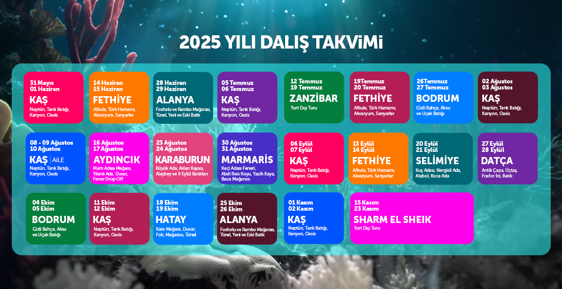 Etkinlik Takvimi