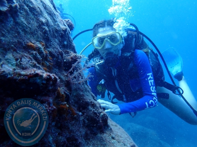 01-02 Ekim Alanya