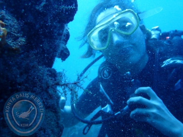 01-02 Ekim Alanya