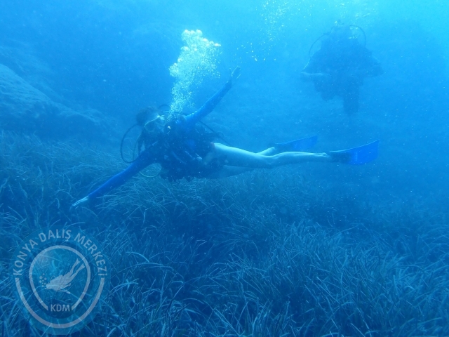 01-02 Ekim Alanya