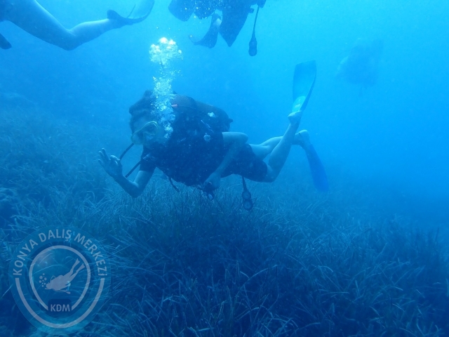 01-02 Ekim Alanya
