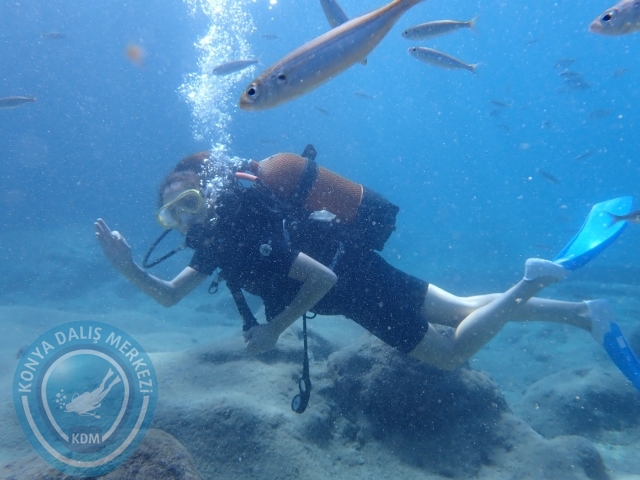 01-02 Ekim Alanya