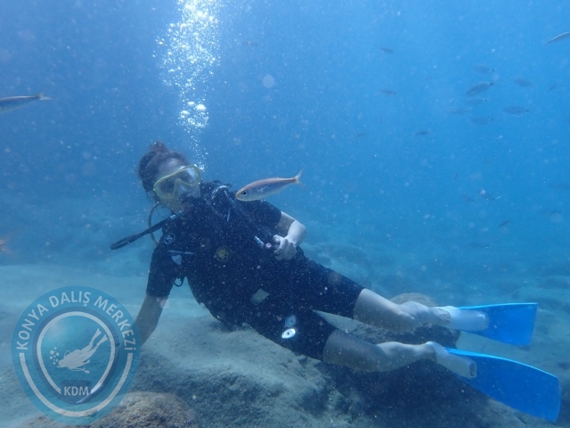 01-02 Ekim Alanya