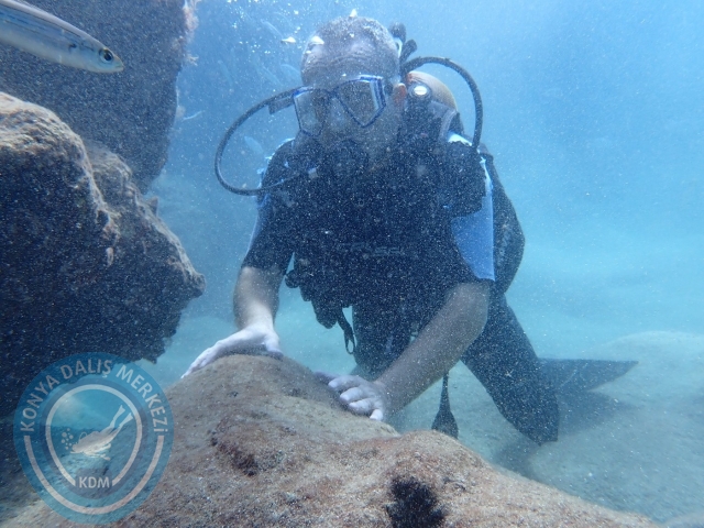 01-02 Ekim Alanya