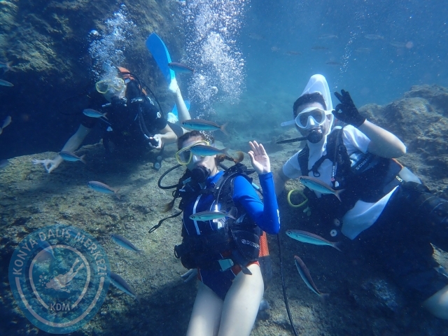 01-02 Ekim Alanya