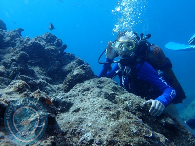 01-02 Ekim Alanya
