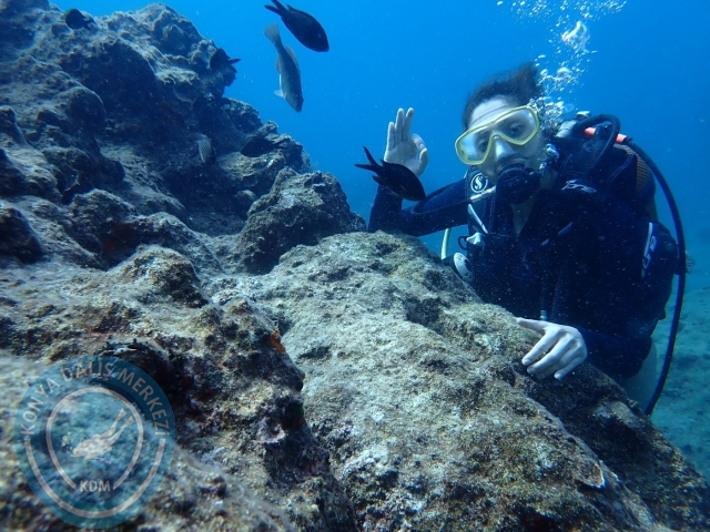 01-02 Ekim Alanya