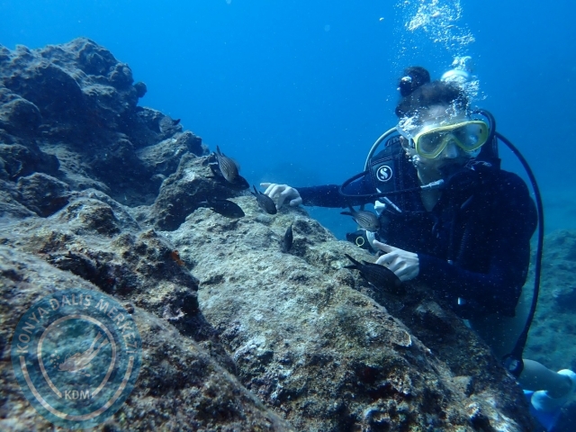01-02 Ekim Alanya