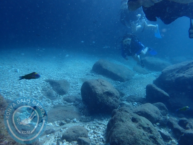 01-02 Ekim Alanya
