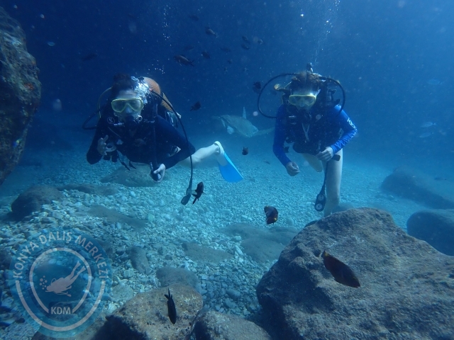 01-02 Ekim Alanya