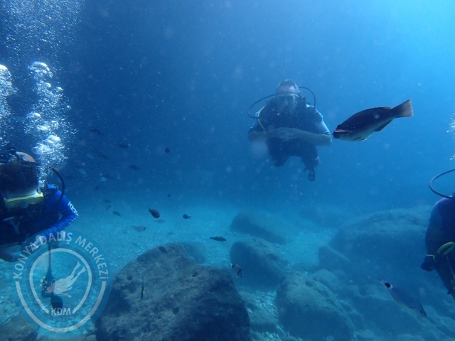 01-02 Ekim Alanya