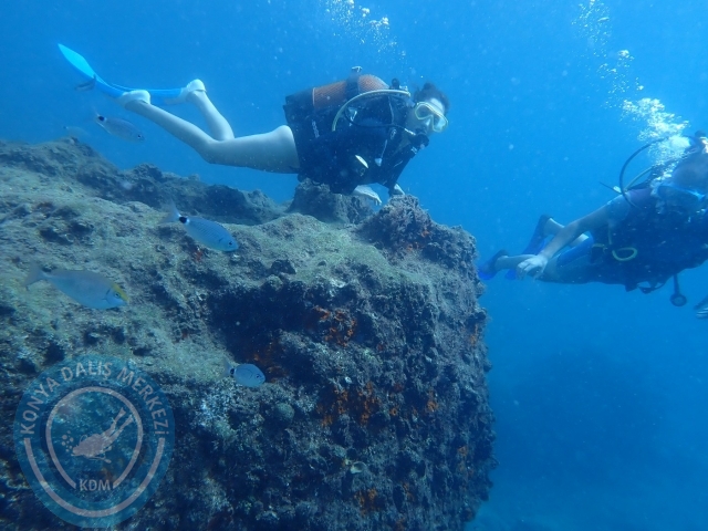 01-02 Ekim Alanya