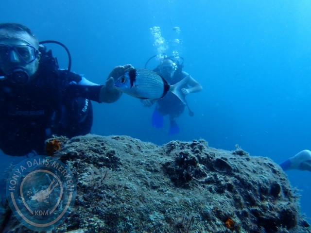 01-02 Ekim Alanya