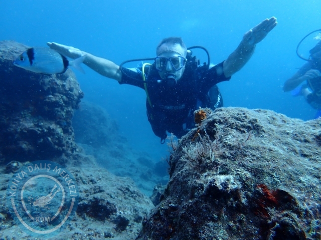 01-02 Ekim Alanya