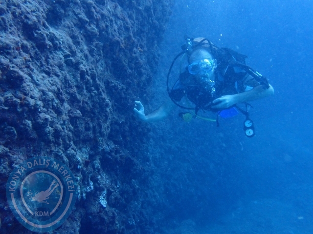 01-02 Ekim Alanya
