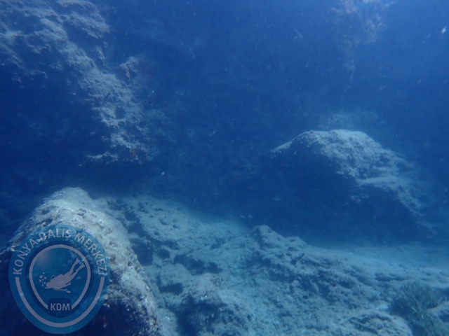 01-02 Ekim Alanya