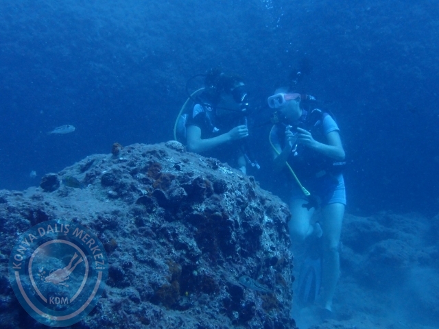 01-02 Ekim Alanya