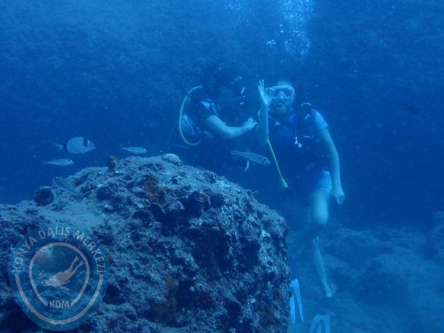 01-02 Ekim Alanya