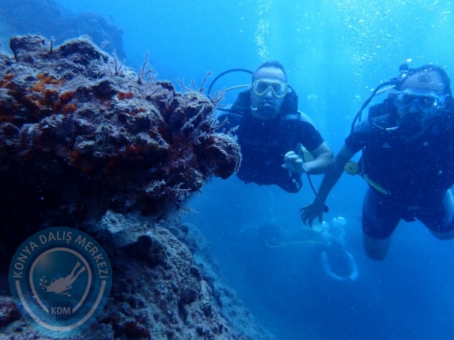 01-02 Ekim Alanya