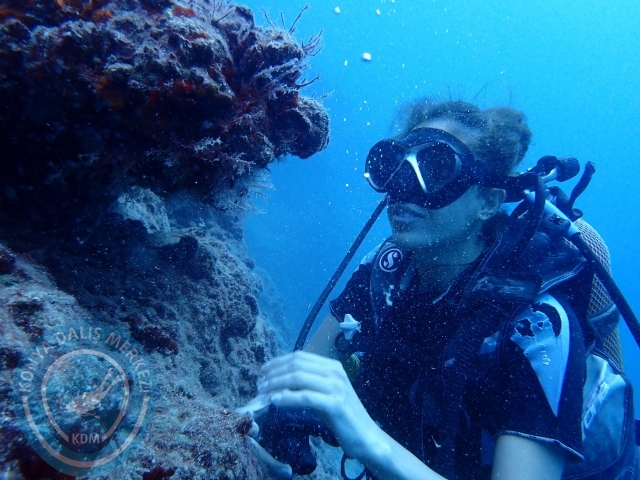 01-02 Ekim Alanya