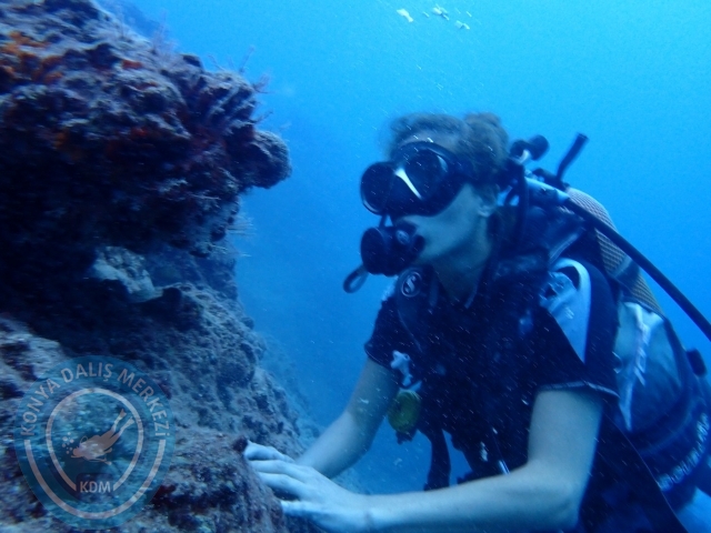 01-02 Ekim Alanya