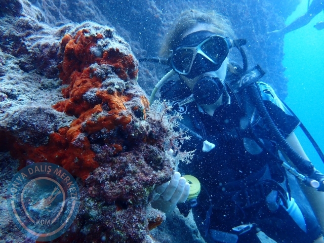 01-02 Ekim Alanya