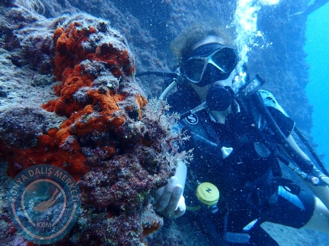 01-02 Ekim Alanya