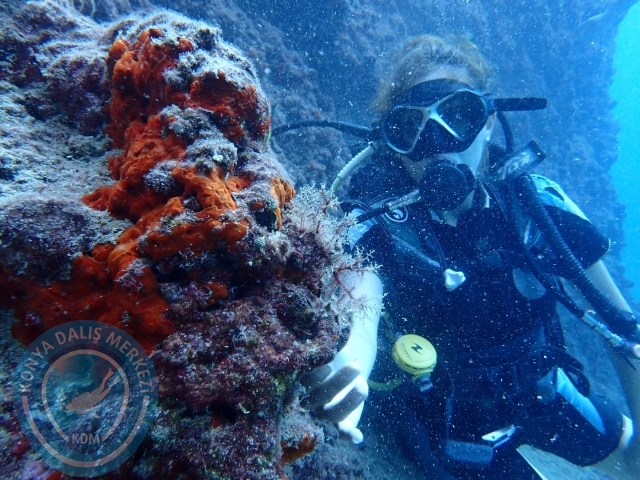 01-02 Ekim Alanya