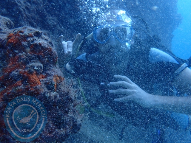 01-02 Ekim Alanya