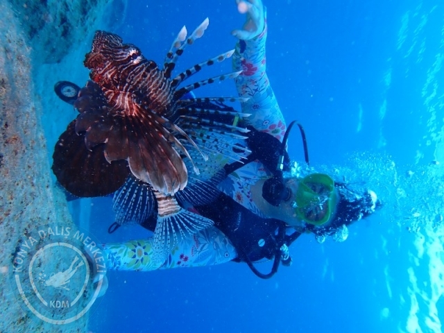 02-03 Ağustos KAŞ