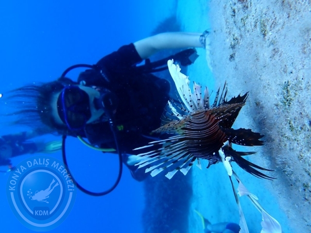 02-03 Ağustos KAŞ