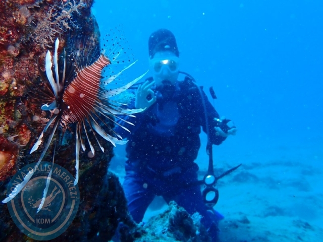 02-03 Ağustos KAŞ