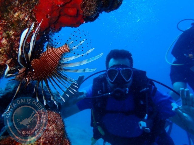 02-03 Ağustos KAŞ