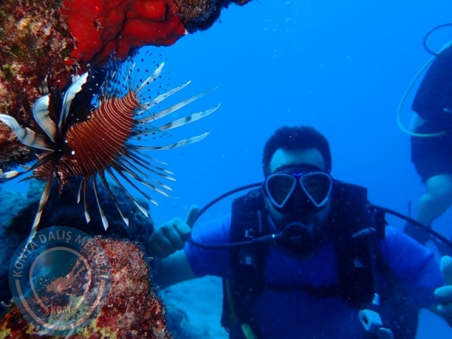 02-03 Ağustos KAŞ