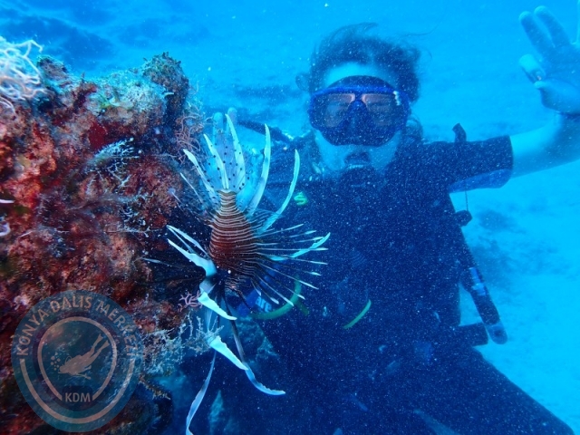 02-03 Ağustos KAŞ