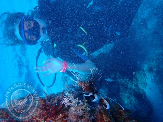 02-03 Ağustos KAŞ