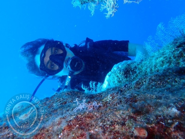 02-03 Ağustos KAŞ