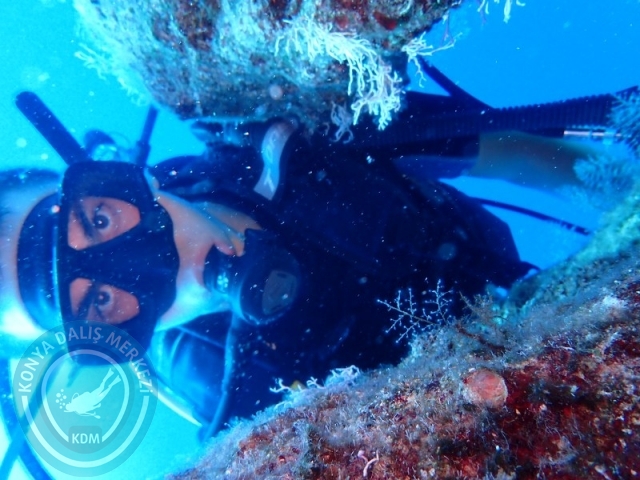 02-03 Ağustos KAŞ