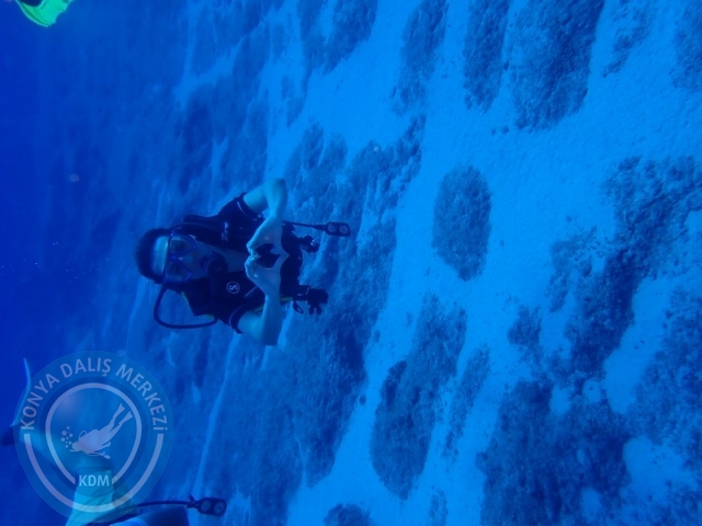02-03 Ağustos KAŞ