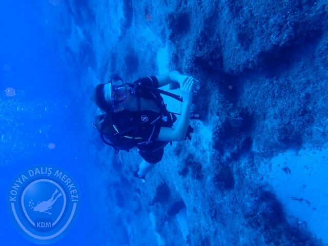 02-03 Ağustos KAŞ