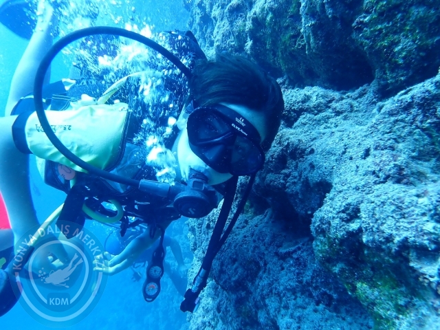 02-03 Ekim Kemer