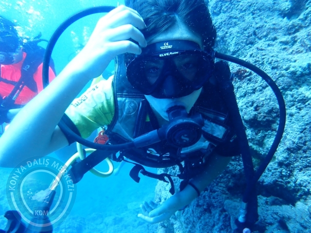 02-03 Ekim Kemer