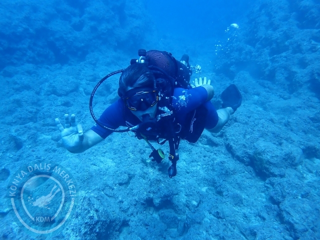 02-03 Ekim Kemer