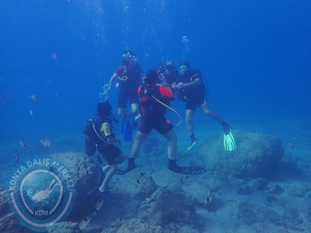 02-03 Ekim Kemer