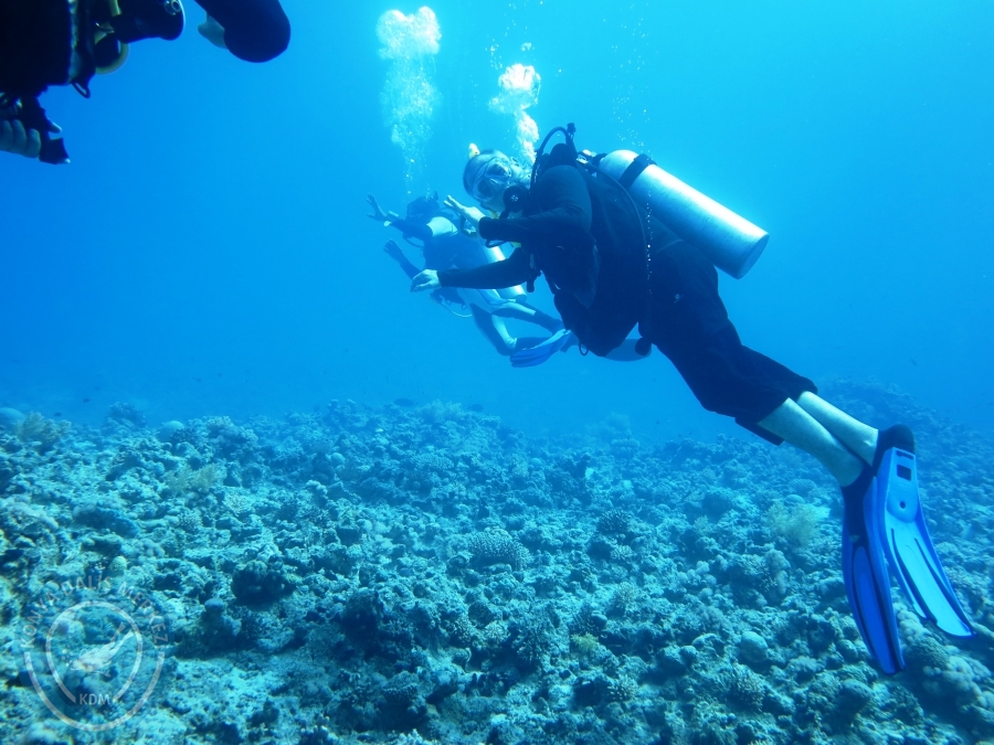 02-08 Aralık 2017 Sharm El Sheikh