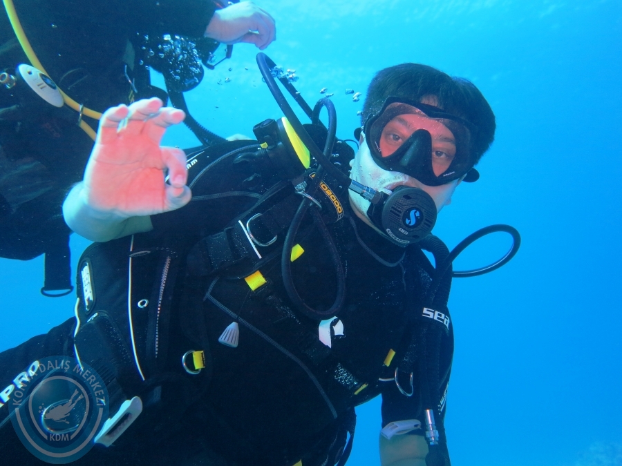 02-08 Aralık 2017 Sharm El Sheikh