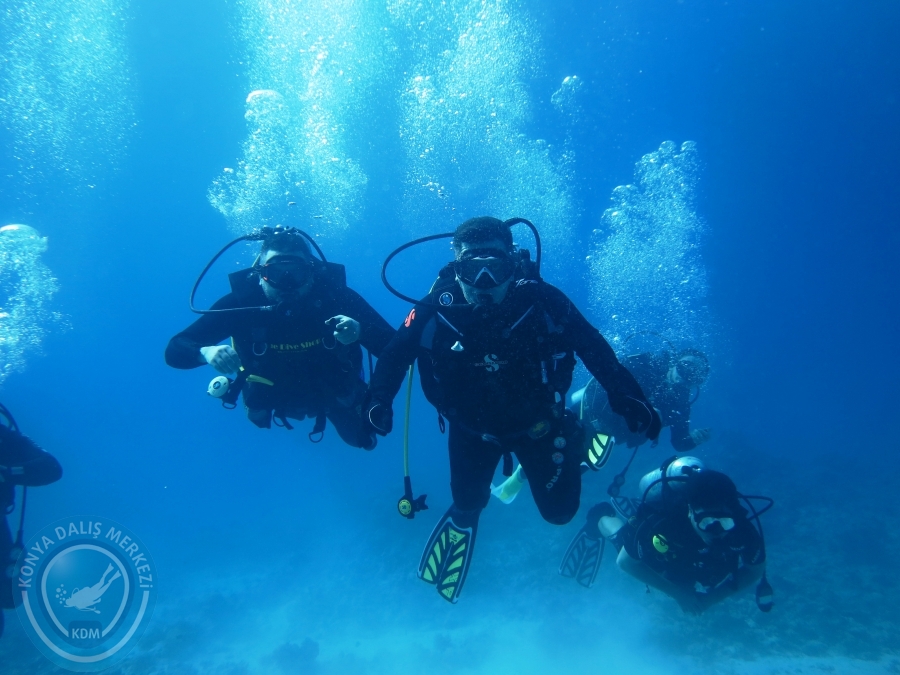 02-08 Aralık 2017 Sharm El Sheikh