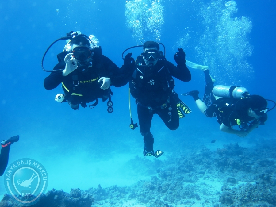 02-08 Aralık 2017 Sharm El Sheikh
