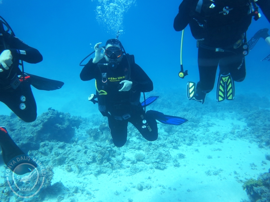 02-08 Aralık 2017 Sharm El Sheikh