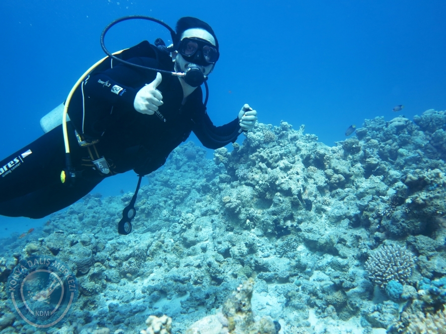 02-08 Aralık 2017 Sharm El Sheikh